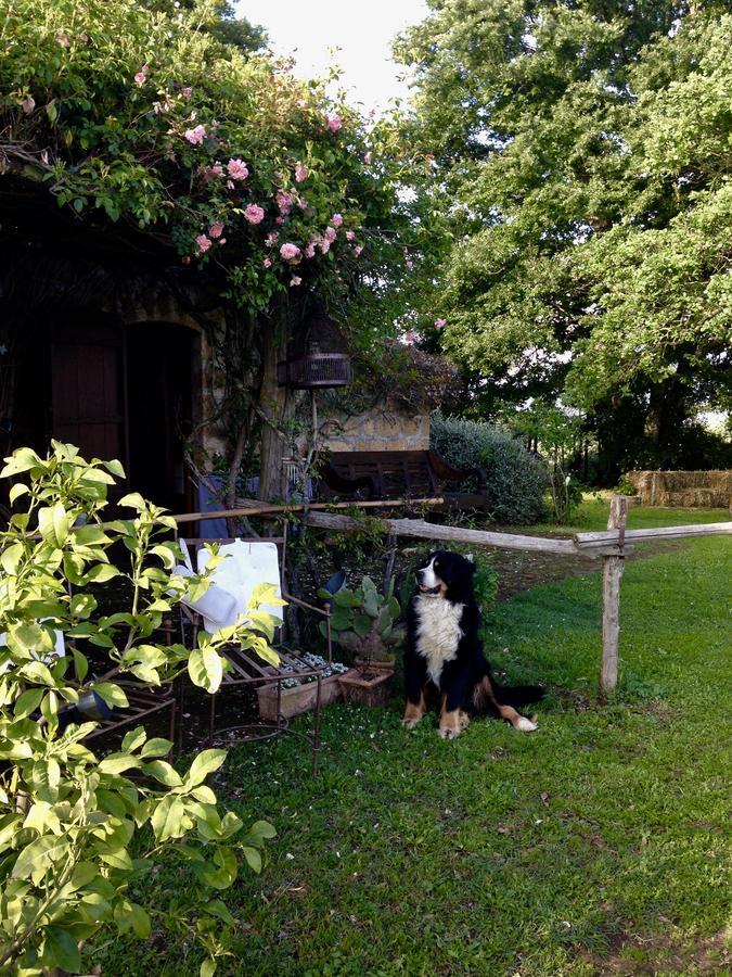Bed And Breakfast Dopo Il Settimo Cielo Lubriano Exterior photo