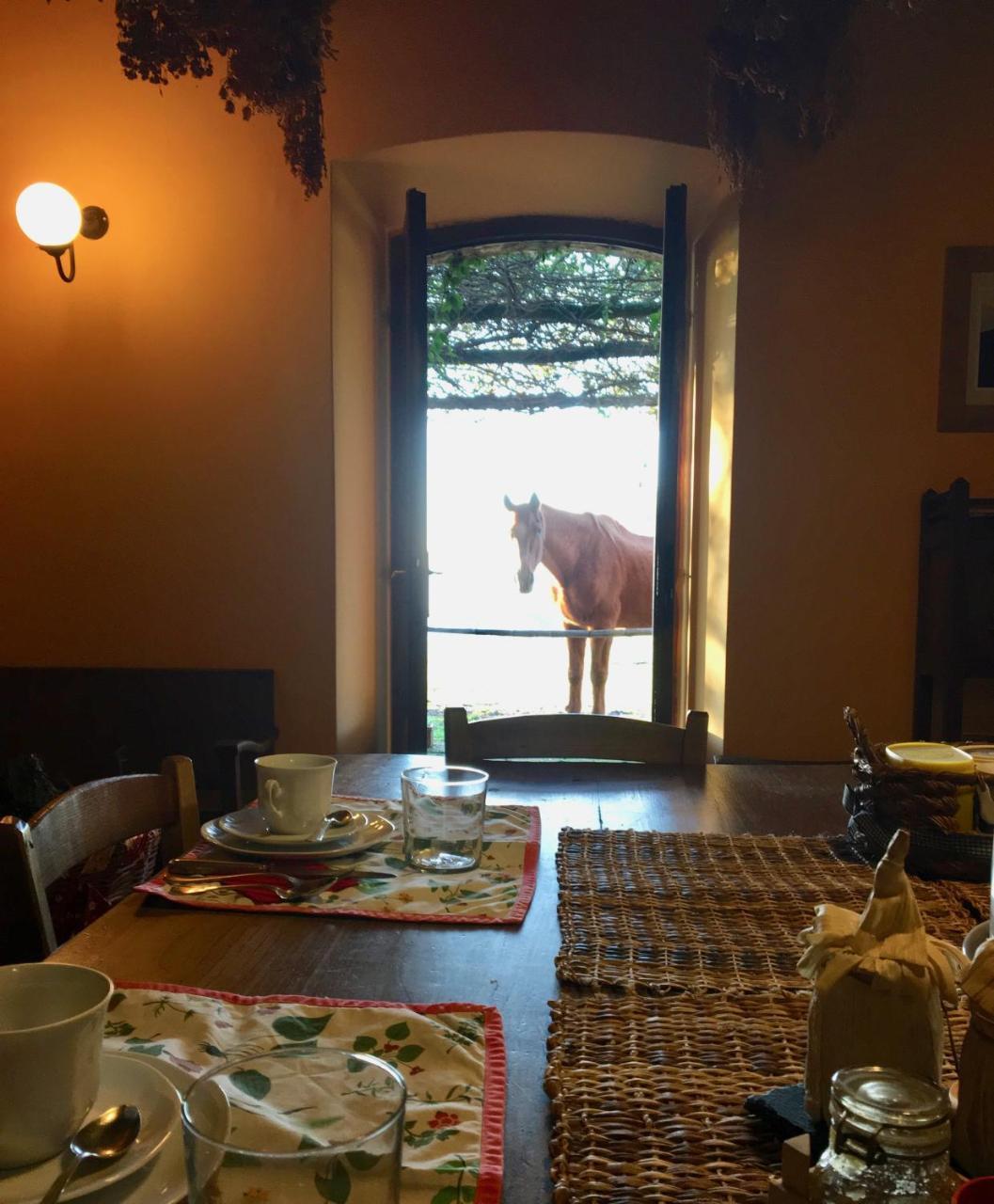Bed And Breakfast Dopo Il Settimo Cielo Lubriano Exterior photo